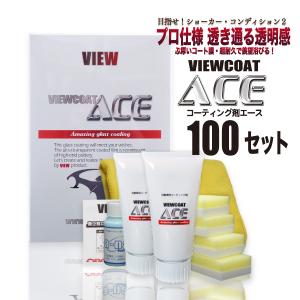 コーティング剤 ACE 100gセット　スポンジ・クロス同梱版 車 カーコーティング ガラス系コーティング ビューコート エース [6月限定シャンプープレゼント]｜ビュー　Yahoo!店