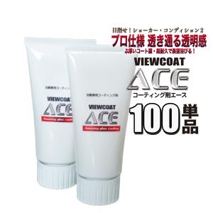 単品 コーティング剤 ACE 100g単品　車 カーコーティング ガラスコーティング ビューコート エース ／ [3月限定カーシャンプープレゼント]