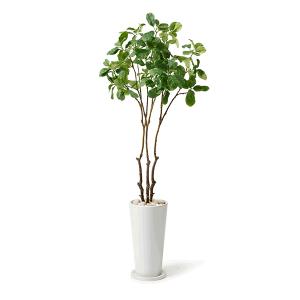 フェイクグリーン 観葉植物 人工観葉植物 造花 大型 ストレリチア GW