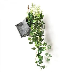 フェイクグリーン 観葉植物 造花 プミラ シュ...の詳細画像3