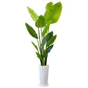 プリマ フェイクグリーン 観葉植物 人工観葉植物 造花 マグノリア