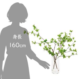 フェイクグリーン 観葉植物 人工観葉植物 ドウ...の詳細画像4