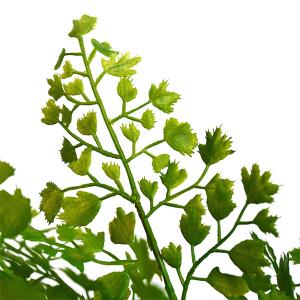 フェイクグリーン 観葉植物 人工観葉植物 造花...の詳細画像5