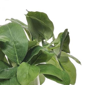 フェイクグリーン 観葉植物 人工観葉植物 造花...の詳細画像4