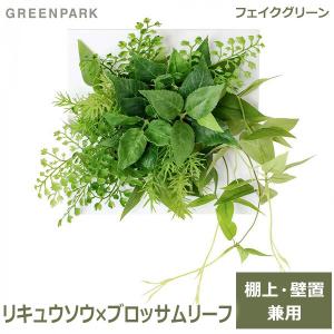 公式】チランジア ウォーターキューブ 観葉植物 フェイクグリーン