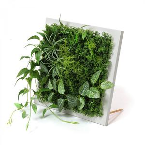 フェイクグリーン 観葉植物 人工観葉植物 造花...の詳細画像3