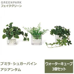 フェイクグリーン 観葉植物 人工観葉植物 造花 卓上 ミニ プミラ シュガーバイン アジアンタム ウォーターキューブ 3個セット 台所 トイレ GREENPARK PRGR-1304