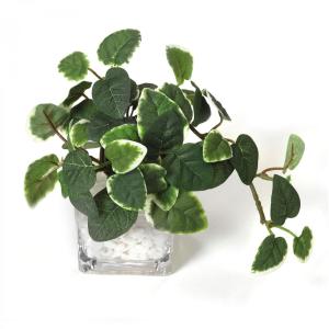 フェイクグリーン 観葉植物 人工観葉植物 造花...の詳細画像1