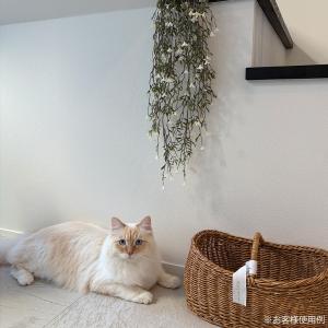 フェイクグリーン リアル 吊り下げ 造花 リア...の詳細画像3