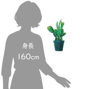 サボテン フェイク グリーン 造花 ウチワサボ...の詳細画像4