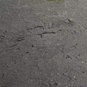 盆栽 シノブ シダ植物 檜 炭 ボール 黒皿 ...の詳細画像4