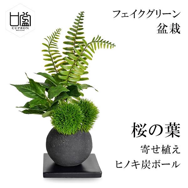 盆栽 桜 の 葉 寄せ植え 檜 炭 ボール マリモ シダ 黒皿 CUPBON フェイクグリーン 造花...