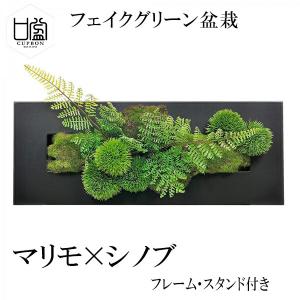 プリマ 盆栽 苔玉 盆栽種類 葉物 の商品一覧 花 ガーデニング 通販 Yahoo ショッピング
