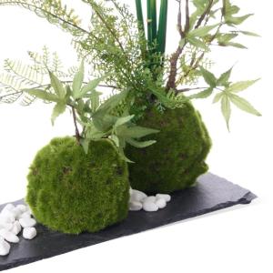 盆栽 モミジ トクサ 苔玉 セット 青紅葉 フ...の詳細画像4