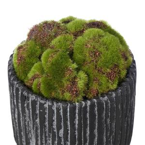 盆栽 苔盆 S 苔 コケ こけ フェイクグリー...の詳細画像4