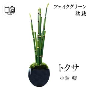 盆栽 トクサ フェイクグリーン ミニサイズ 小鉢 藍