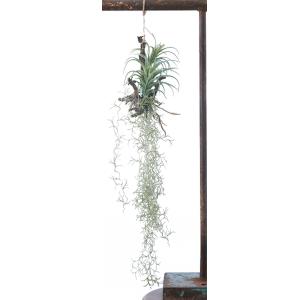 フェイクグリーン 造花 大型 64cm ロング...の詳細画像4