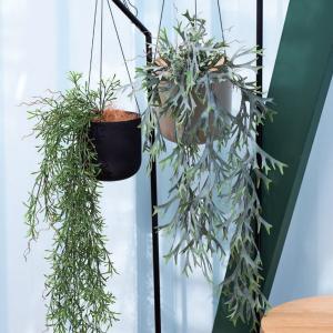 フェイクグリーン 観葉植物 人工観葉植物 造花...の詳細画像1
