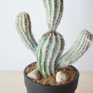 フェイクグリーン 観葉植物 人工観葉植物 造花...の詳細画像3