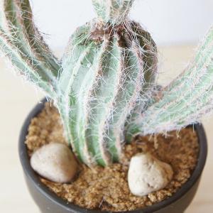 フェイクグリーン 観葉植物 人工観葉植物 造花...の詳細画像4