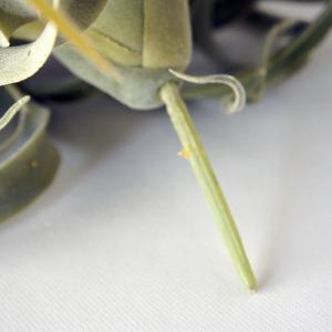 フェイクグリーン 観葉植物 人工観葉植物 造花...の詳細画像3