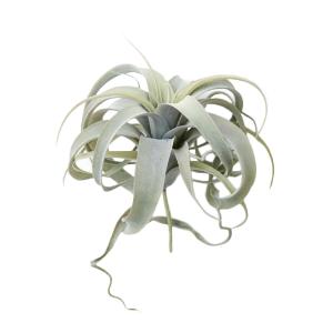 フェイクグリーン 観葉植物 人工観葉植物 造花...の詳細画像4