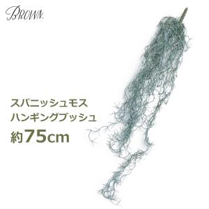 フェイクグリーン 観葉植物 人工観葉植物 造花 ...の商品画像