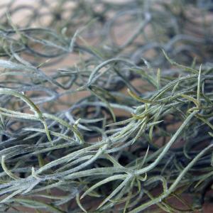 フェイクグリーン 観葉植物 人工観葉植物 造花...の詳細画像1
