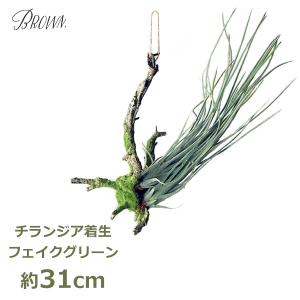 多肉植物 サキュレント リース ミニ 20cm フェイク グリーン 造花 植物