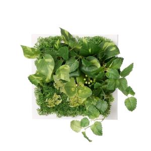 フェイクグリーン 観葉植物 人工観葉植物 造花...の詳細画像2