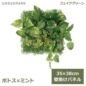 サボテン 多肉植物 観葉植物 インテリアグリーン フェイクグリーン CT 