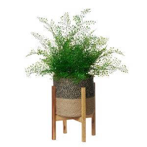 フェイクグリーン 観葉植物 人工観葉植物 造花...の詳細画像1