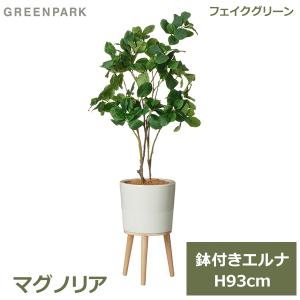 GREENPARK マグノリア H120cm 観葉植物 フェイクグリーン １ 楽天市場】【ポイントUP】【公式】マグノリア スリムプランター H120cm