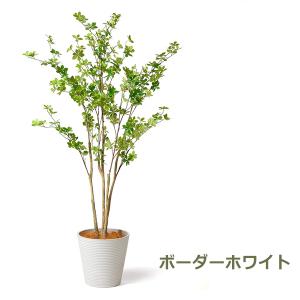 フェイクグリーン 観葉植物 人工観葉植物 造花...の詳細画像2