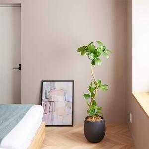 フェイクグリーン 観葉植物 人工観葉植物 造花...の詳細画像1