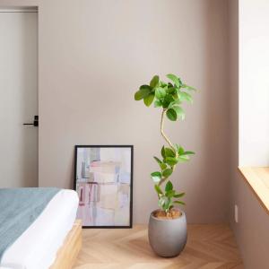 フェイクグリーン 観葉植物 人工観葉植物 造花...の詳細画像3