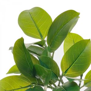 フェイクグリーン 観葉植物 人工観葉植物 造花...の詳細画像4