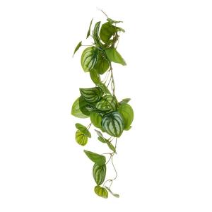 フェイクグリーン 観葉植物 人工観葉植物 造花...の詳細画像3