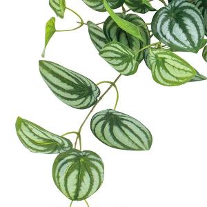 フェイクグリーン 観葉植物 人工観葉植物 造花...の詳細画像5