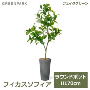 プリマ フェイクグリーン 観葉植物 人工観葉植物 造花 マグノリア