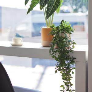 観葉植物 74cm フェイクグリーン フィカス...の詳細画像1