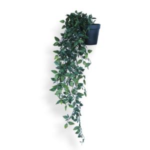 観葉植物 74cm フェイクグリーン フィカス...の詳細画像4