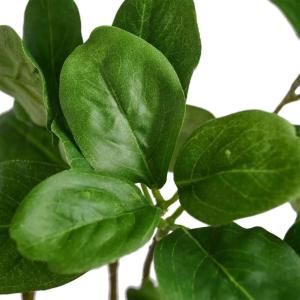 フェイクグリーン 観葉植物 人工観葉植物 造花...の詳細画像2