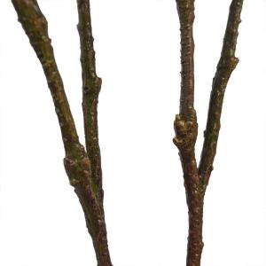 フェイクグリーン 観葉植物 人工観葉植物 造花...の詳細画像3