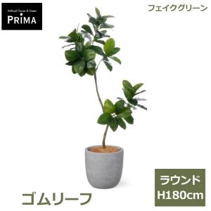 フェイクグリーン 観葉植物 人工観葉植物 ゴムリーフ ゴムの木 ラウンド H180cm 植物 大型 鉢付き プランター付き フェイク グリーン 人気 PRGR-1621 GREENPARK