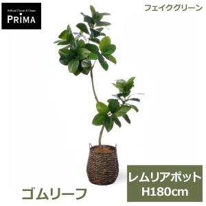 フェイクグリーン 観葉植物 人工観葉植物 ゴムリーフ ゴムの木 レムリアポット H180cm 植物 大型 鉢付き プランター付き フェイク グリーン PRGR-1619 GREENPARK