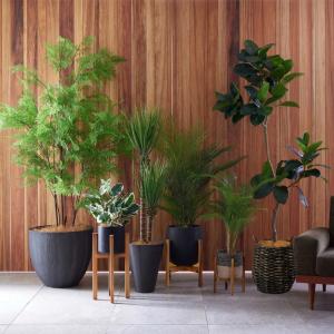 フェイクグリーン 観葉植物 人工観葉植物 ゴム...の詳細画像1