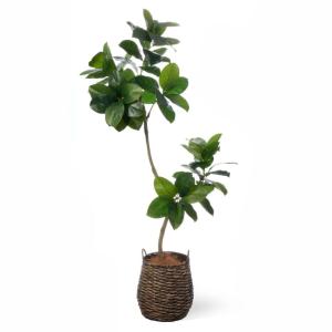 フェイクグリーン 観葉植物 人工観葉植物 ゴム...の詳細画像2