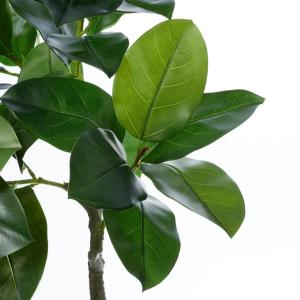 フェイクグリーン 観葉植物 人工観葉植物 ゴム...の詳細画像3