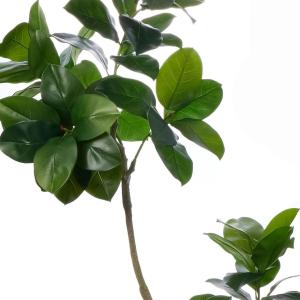 フェイクグリーン 観葉植物 人工観葉植物 ゴム...の詳細画像4